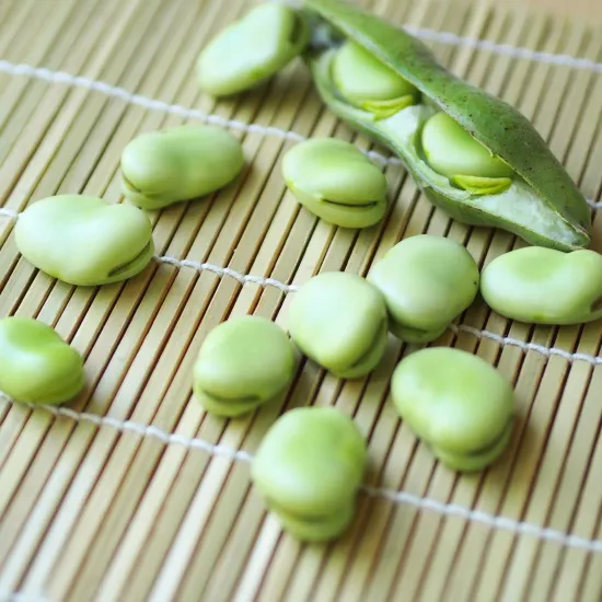そら豆の画像
