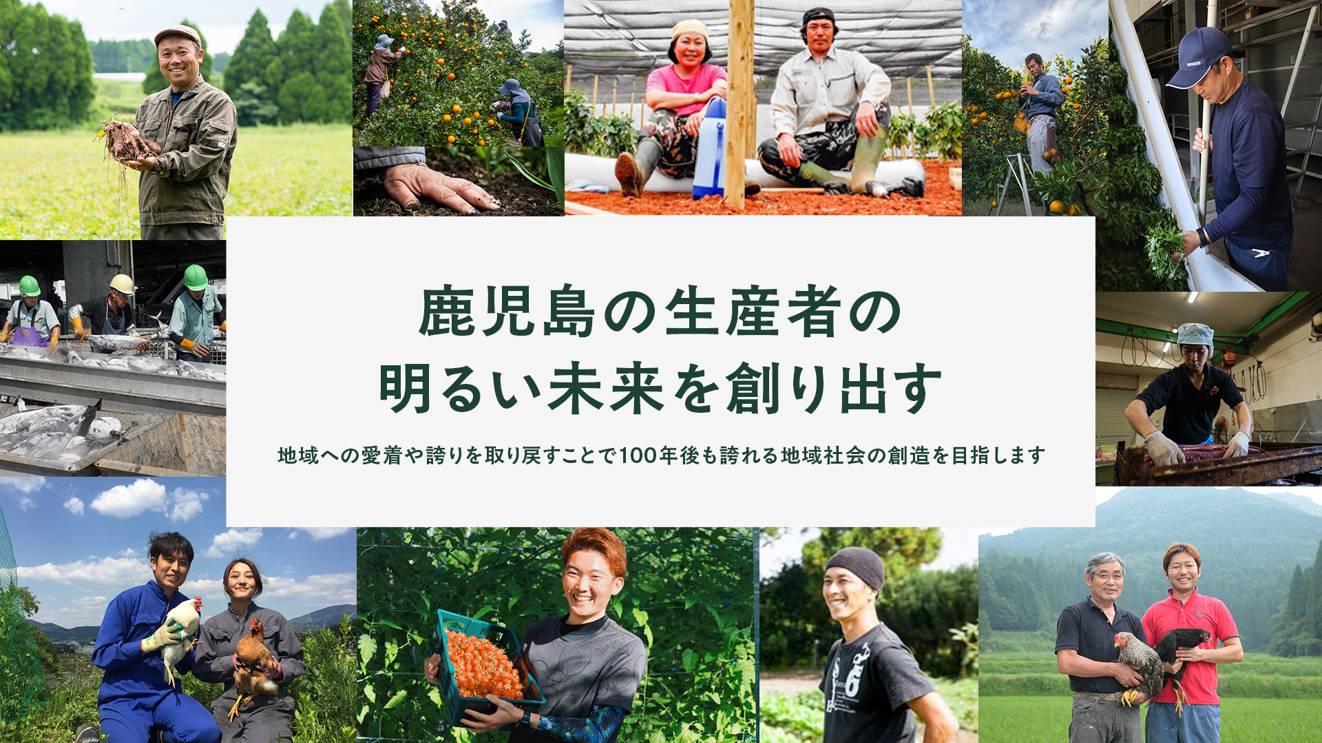 生産者さんの画像